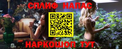 стаф Сланцы