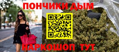 стаф Сланцы