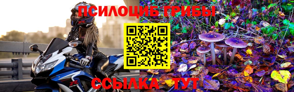 Псилоцибиновые грибы прущие грибы  Вход с VPN  Новочебоксарск 