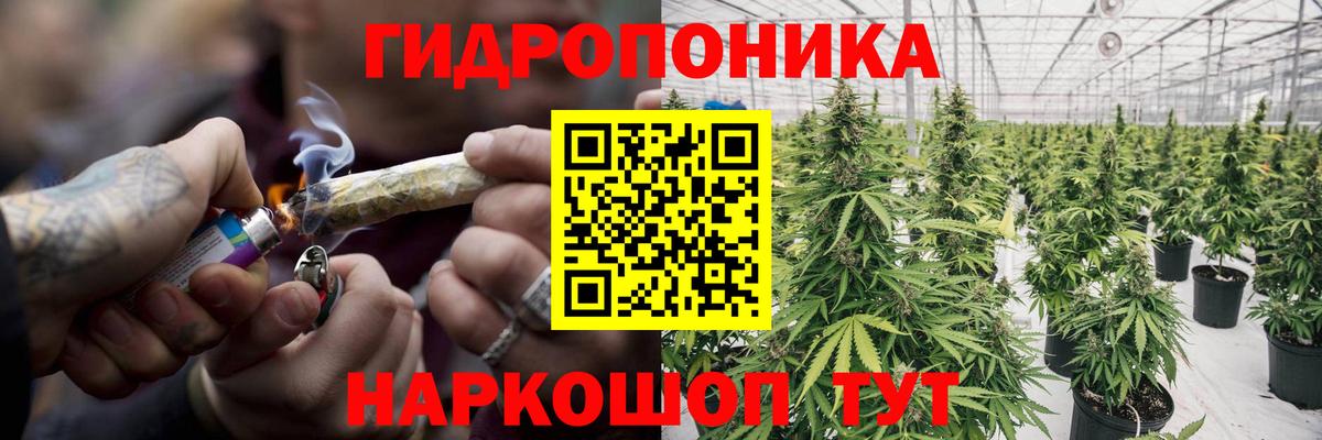МАРИХУАНА LSD WEED  Вход с VPN  Марихуана LSD WEED  Новочебоксарск  МАРИХУАНА план  Марихуана VHQ 